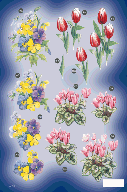Exquisite Bloom