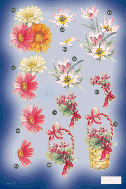 Exquisite Blooms