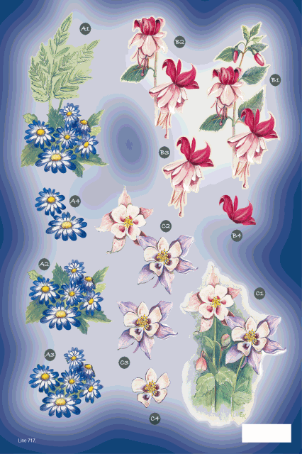 Exquisite Blooms 717 DIE CUT 3D Decoupage