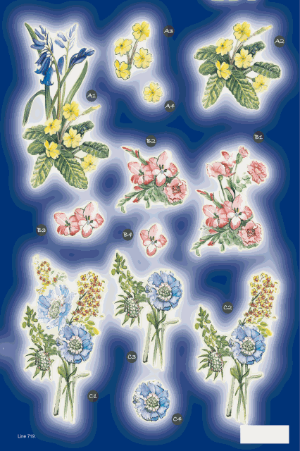 Exquisite Blooms 719 DIE CUT 3D Decoupage