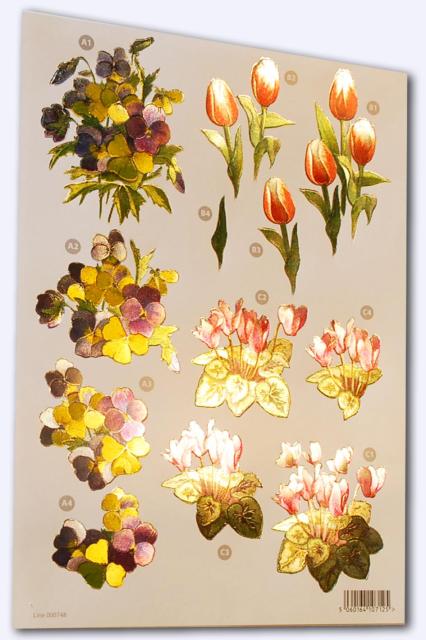 CUK 748 Floral Reflections Die-Cut Decoupage