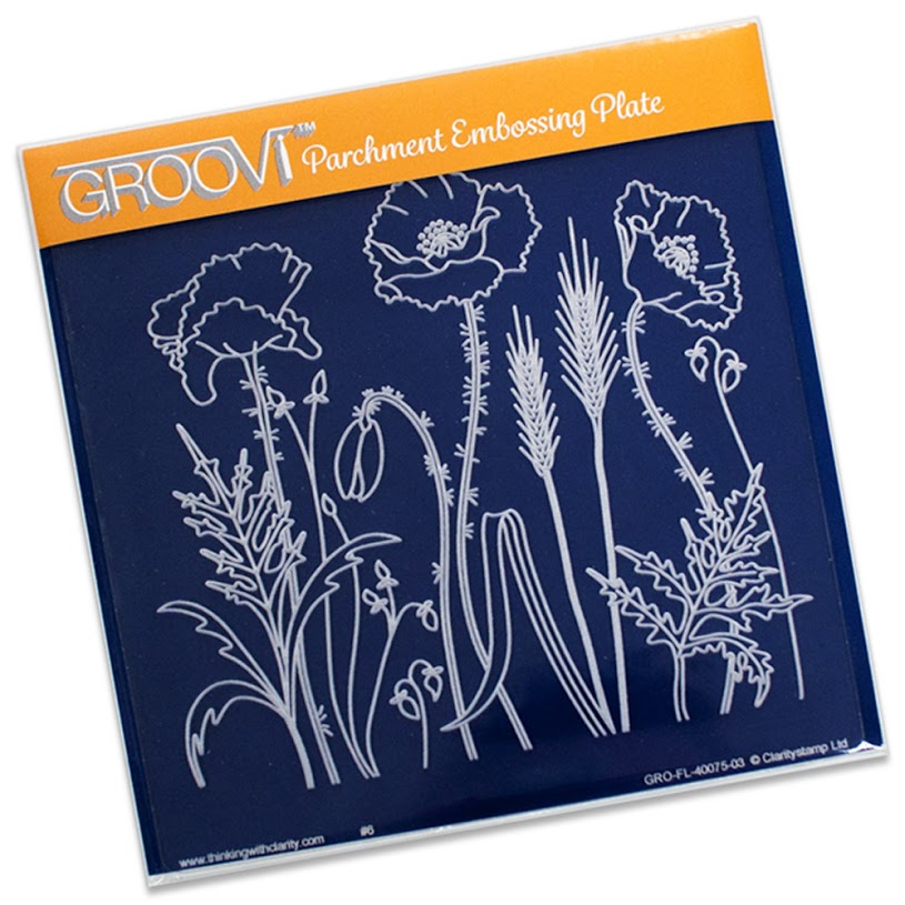 Groovi Poppies Plate Set