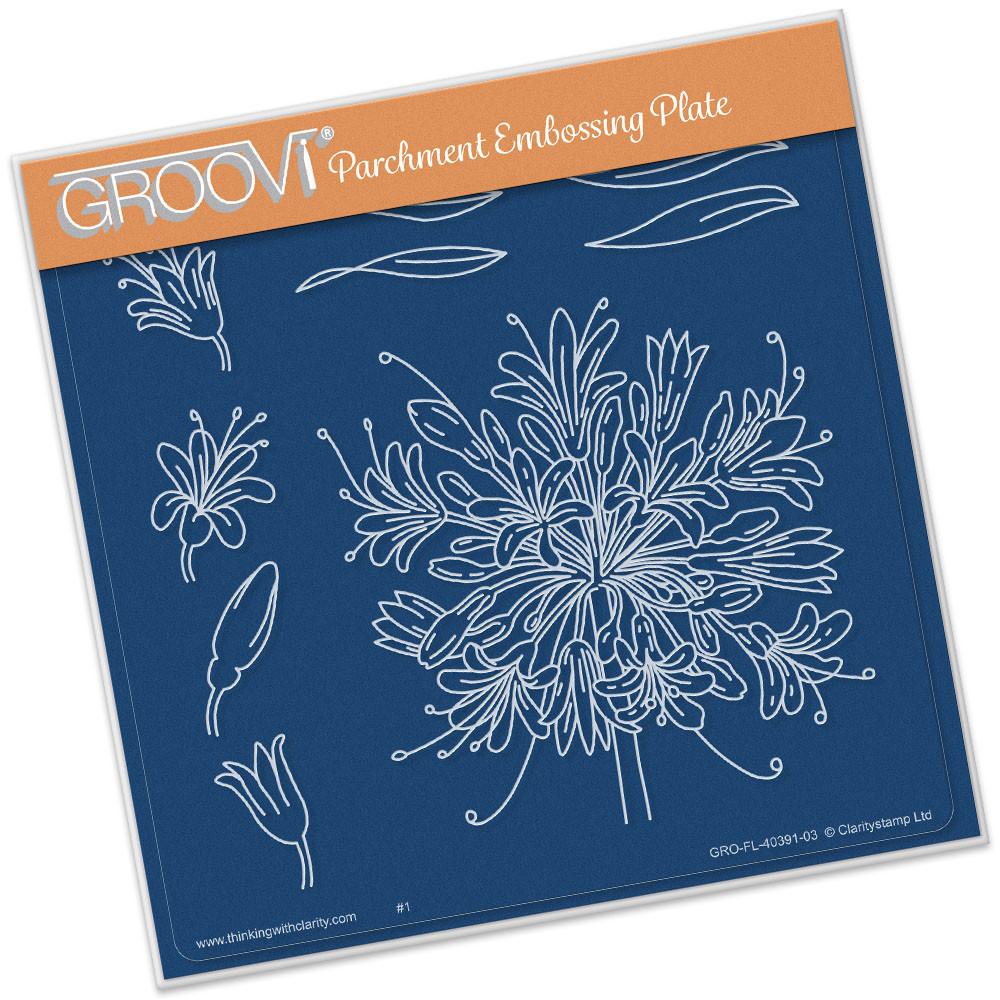 Groovi Jayne Nestorenko - Agapanthus Plate A5