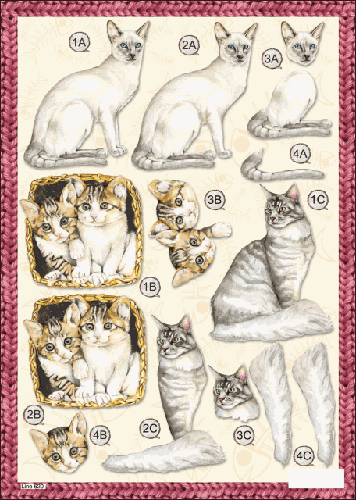 620 Siamese Cat DIE CUT 3D Decoupage