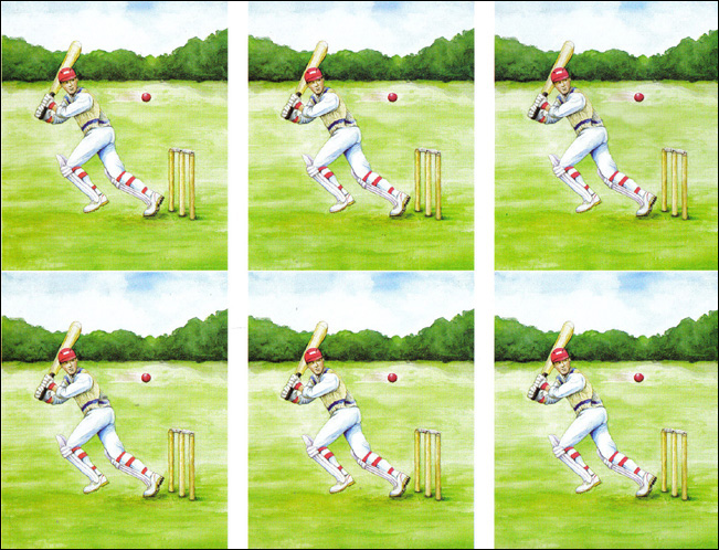 Cricket 3D Step by Step Decoupage 157